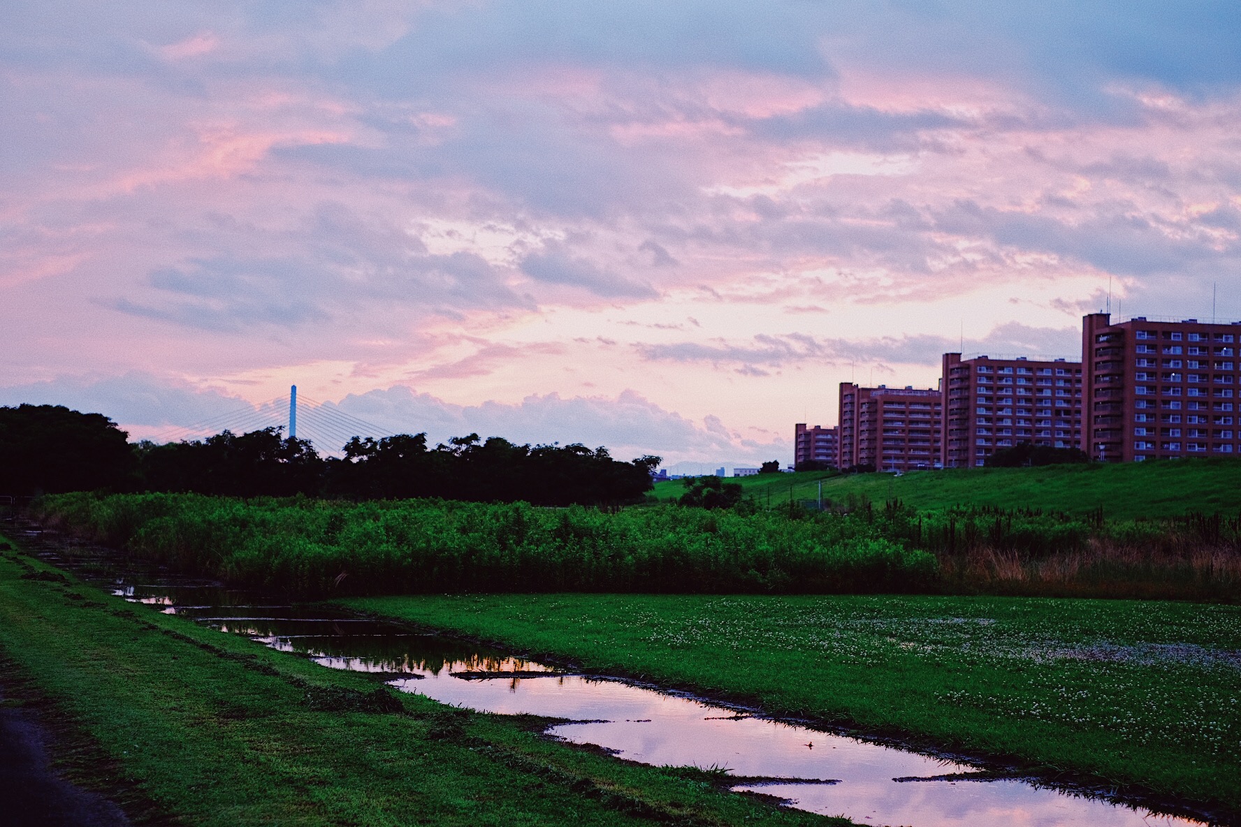 散歩中に見た風景