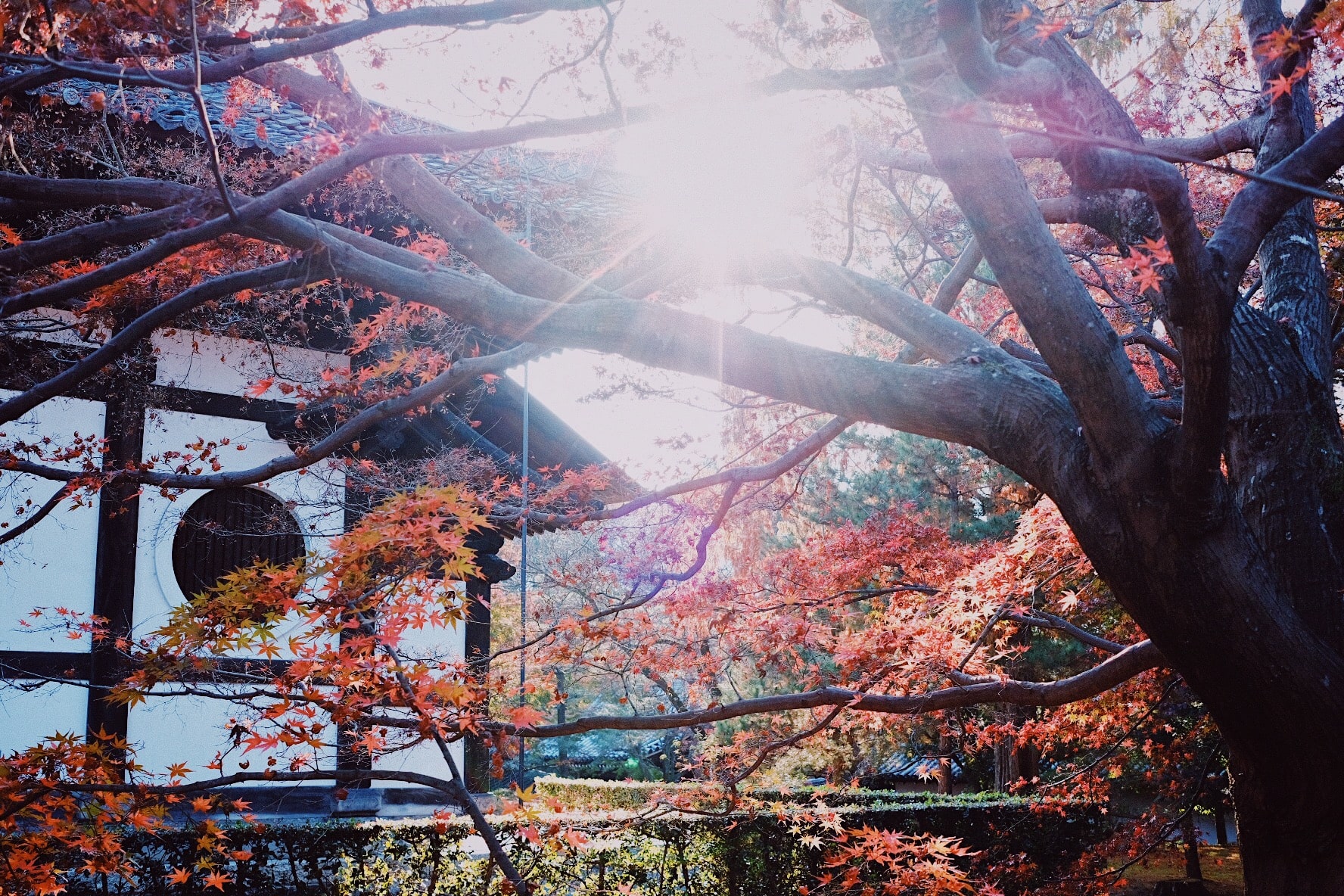 秋の京都合宿へ